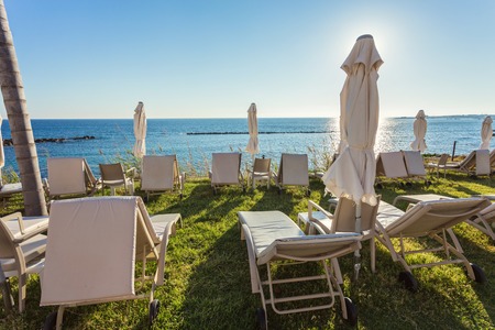 Beach and palm trees, sunny day in the resort of Paphos, Cyprusの写真素材