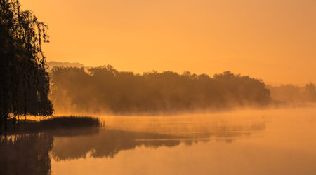 Autumn fog in the morning on the riverの写真素材