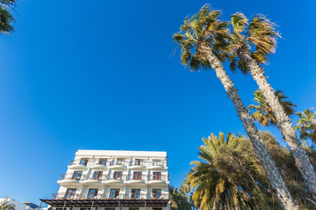 Beautiful tropical sunset with palm trees at beachの写真素材
