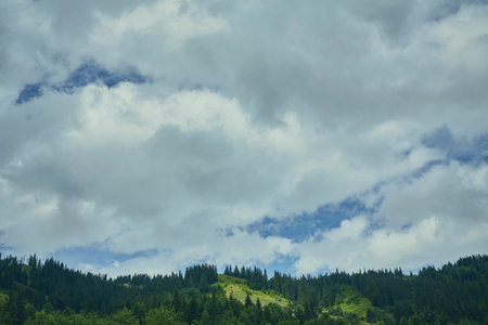 Forest in the mountains in the clouds with fogの写真素材