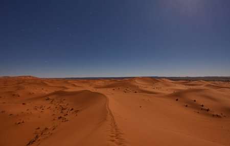 Beautiful night photo of the Sahara desert, Moroccoの写真素材