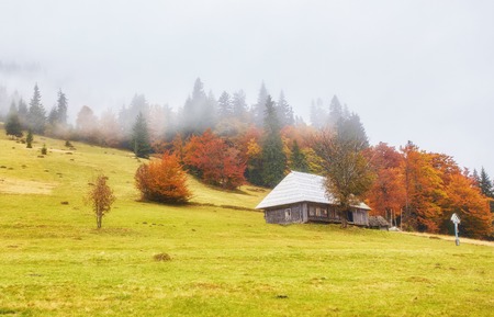Colorful autumn landscape in the mountain village. Foggy morning in the Carpathian mountains. Ukraine, Europe.の写真素材