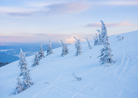 Fantastic morning mountain landscape. Overcast colorful sky. Carpathian, Ukraine, Europe Beauty worldの写真素材