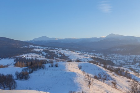 Winter landscape with pine trees covered by snowの写真素材