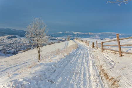 Winter landscape with the road the forestの写真素材