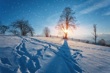 Winter landscape. Winter road and trees covered with snowの写真素材