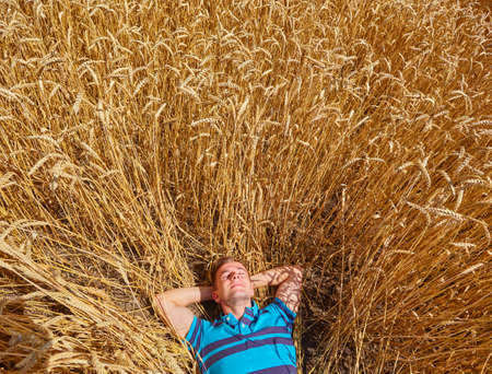 A farmer or hairless hipster lie and relax in field of wheatの写真素材