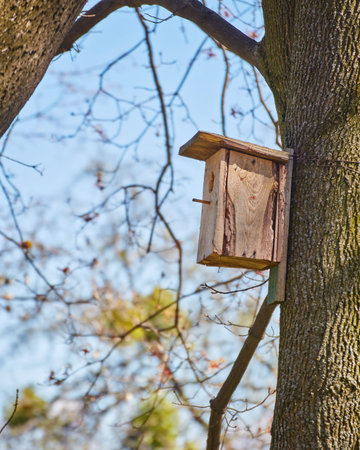Birdhouse hanging on tree in Park autumn, spring.