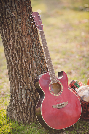 Close-up of Acoustic classical guitar, Guitar stand alone on the green grass in the parkの写真素材