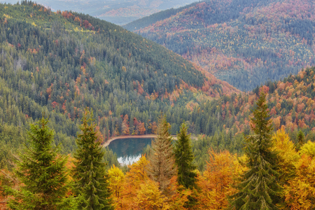 Beautiful Synevyr lake surrounded with forest. Red leaves of beech in foreground.の写真素材