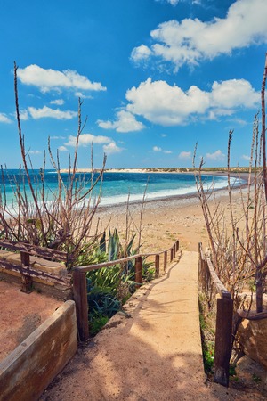 Wooden path down to the beach and ocean. Walkway and stairs through sand dunes and grass.の写真素材