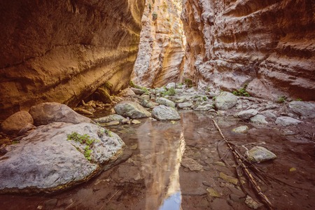 Sunlit multicolored rocks of Avakas Gorge in Cyprus.の写真素材