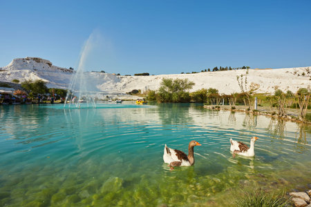 Lake with green water, calcified limestone terraces on background. Pamukkale, Turkey.の写真素材