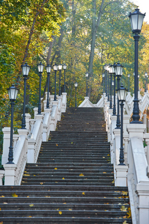 Red and colorful autumn colors in the forest with a road and sunshine in the fall seasonの写真素材