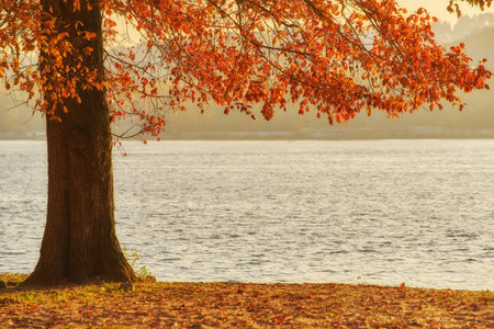View of Dnieper river in Kiev, Ukraine