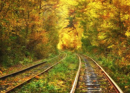 Abandoned railway under autumn colored trees tunnel, golden leafs falling downの写真素材