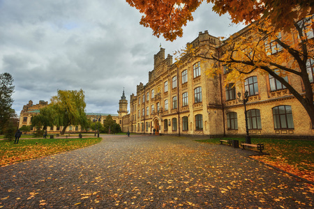 Beautiful colorful autumn park in sunny dayの写真素材