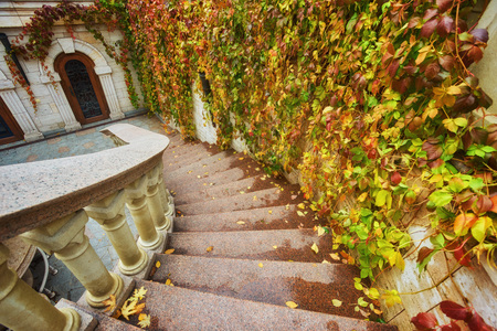 Wooden trunk steps in golden autumn forest, tourist footpath.の写真素材