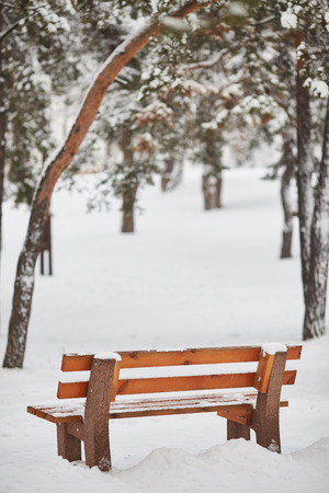 bench in the park in the snow in winterの写真素材