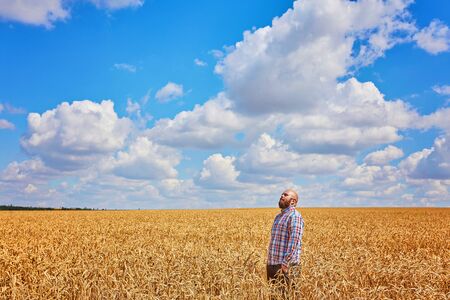 Farmer walking through a golden wheat fieldの写真素材