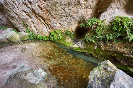 Sunlit multicolored rocks of Avakas Gorge in Cyprus.の写真素材