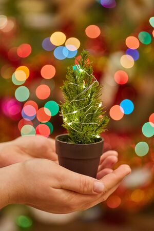 Little Christmas tree with a luminous garland in the hands of a girl on the background of New Year's lights.の写真素材