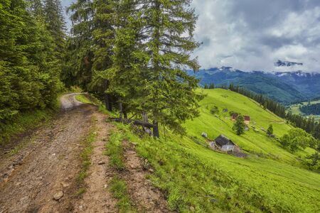 composite landscape. fence near the cross road on hillside meadow in mountains. few fir trees of forest on sides of the roadの写真素材