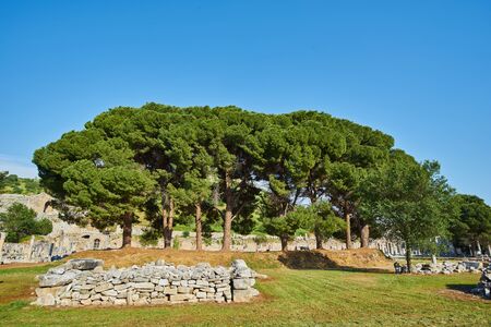 View of trees and ruins of the Ancient Greek city of Ephesus near Selçuk, Turkeyの写真素材