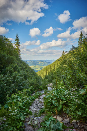 Summer landscape in mountains and the dark blue sky with cloudsの写真素材