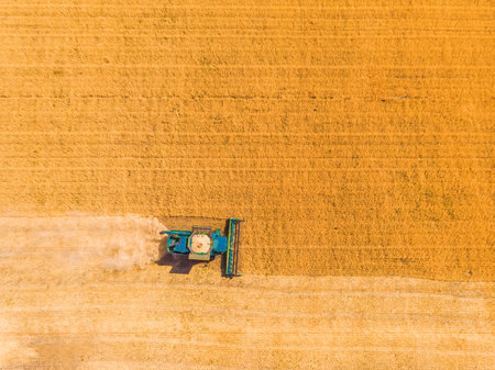 Harvester machine working in field. Combine harvester agriculture machine harvesting golden ripe wheat field. Agriculture. Aerial view. From above.の写真素材
