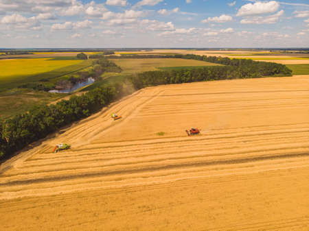 Harvesting machine working in the field. Top view from the drone Combine harvester agricultural machine ride in the field of golden ripe wheat.の写真素材