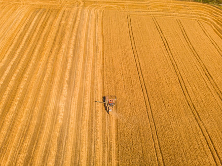Combine harvester on the field of wheat. Perfect summer view from flying drone of harvesting wheat...