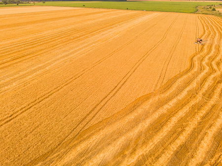 Harvesting machine working in the field. Top view from the drone Combine harvester agricultural...