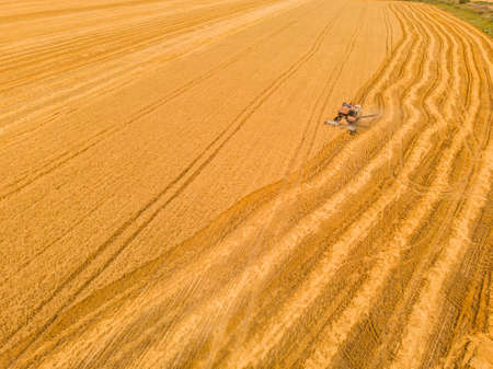 Aerial view of summer harvest. Combine harvester harvesting large field. Agriculture from drone view.の写真素材