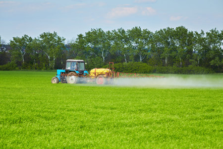 Small Tractor spraying pesticides at wheat fields