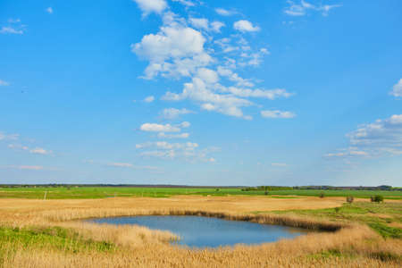 Green field with river under blue skyの写真素材