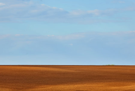 Texture of cultivated field and blue sky.