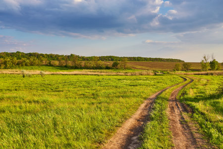 Summer landscape with green grass, road and cloudsの写真素材