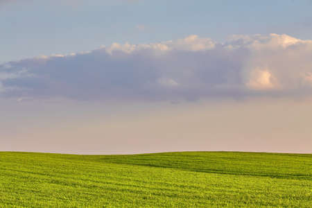 Green field under blue clouds sky. Beauty nature backgroundの写真素材