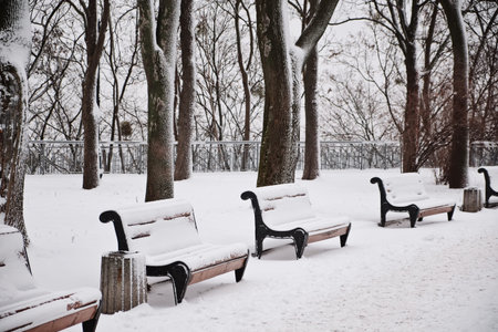 Row of red benches in the park in the snow in winter. Kyiv, Mariinskyi Parkの写真素材