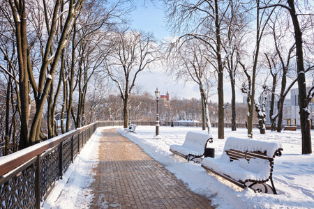 Frosty snow alley in the winter Park with benches. Trees covered with snow. Walking in the fresh air. Kyiv, Vladimirskaya Gorka park.の写真素材