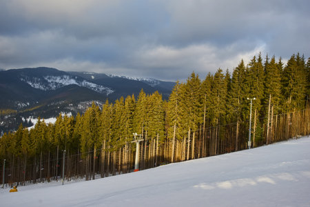 Beautiful winter landscape with snow covered trees