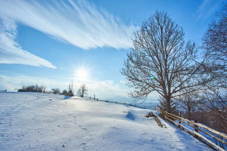 Beautiful winter landscape in the Carpathian mountainsの写真素材