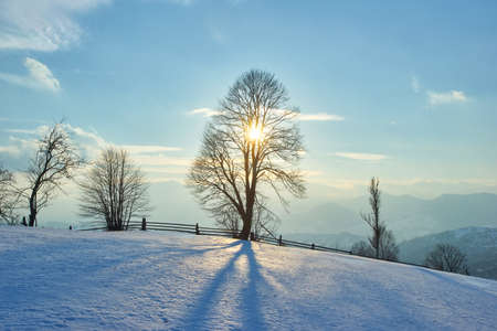 Beautiful winter landscape in the Carpathian mountainsの写真素材