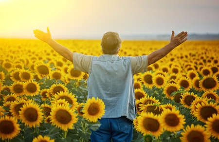 Successful Ukrainian Farmer in a sunflower field. Senior farmer man is standing and smiling in a field with a peaceful sky background. Ukraine.の写真素材