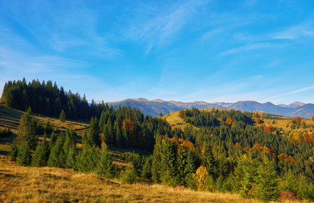 Colorful autumn landscape scene with fence in Transylvania mountain Romania