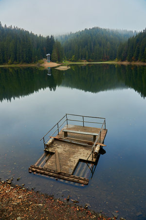 landscape at the mountain lake Synevyr in autumn. Beautiful nature scenery in the morning. Spruce forest on the shore. Synevyr National Park, Ukraineの写真素材