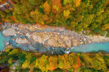 aerial bird's-eye view of colorful forest, blue river and rocks. drone shot. natural beautiful autumn landscapeの写真素材