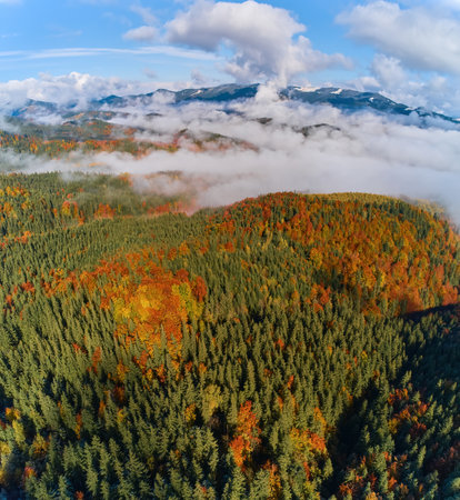 Autumn forest on the mountain in the fog. Aerial drone view.の写真素材