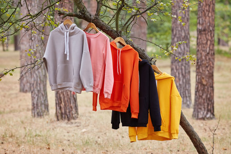 Several multicolored hoodies hang on hangers in a tree. Demonstration of different colors of clothesの写真素材
